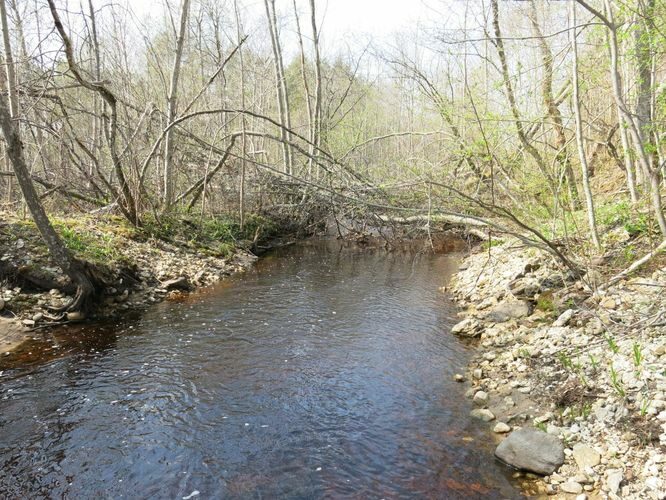 Maakond: Läänemaa Veekogu nimi: Taebla jõgi Pildistamise aeg: 11. mai 2013 Pildistaja: H. Timm Pildistamise koht: Palivere Asimuut: