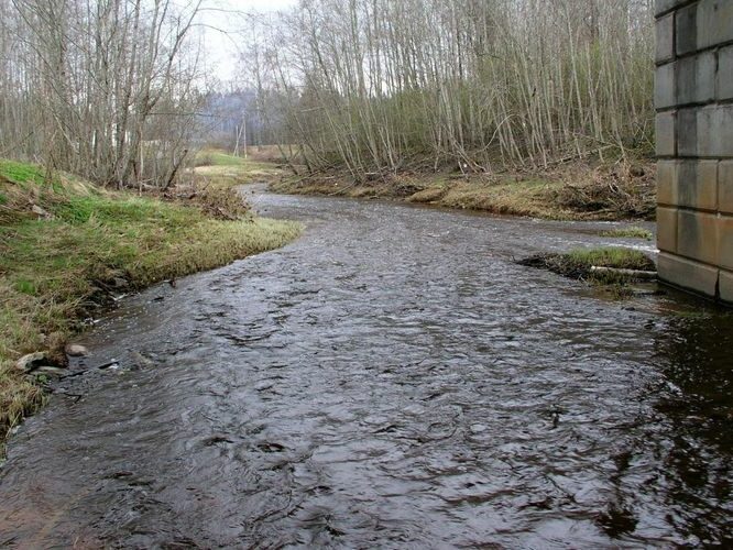 Maakond: Ida-Virumaa Veekogu nimi: Tagajõgi Pildistamise aeg: 24. aprill 2007 Pildistaja: H. Timm Pildistamise koht: Tudulinna Asimuut: