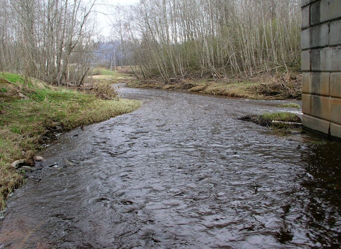 Maakond: Ida-Virumaa Veekogu nimi: Tagajõgi Pildistamise aeg: 24. aprill 2007 Pildistaja: H. Timm Pildistamise koht: Tudulinna Asimuut: