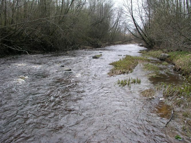 Maakond: Ida-Virumaa Veekogu nimi: Tagajõgi Pildistamise aeg: 24. aprill 2007 Pildistaja: H. Timm Pildistamise koht: Tudulinna sillalt Asimuut: