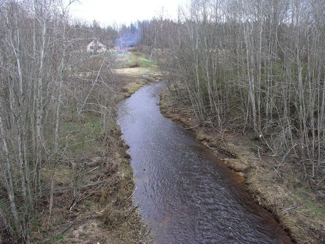 Maakond: Ida-Virumaa Veekogu nimi: Tagajõgi Pildistamise aeg: 24. aprill 2007 Pildistaja: H. Timm Pildistamise koht: Tudulinna sillalt Asimuut: