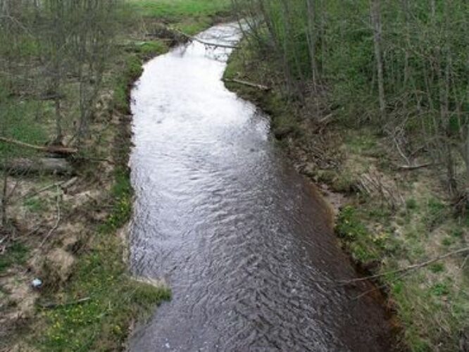 Maakond: Ida-Virumaa Veekogu nimi: Tagajõgi Pildistamise aeg: 7. mai 2009 Pildistaja: H. Timm Pildistamise koht: Tudulinna sillalt Asimuut: