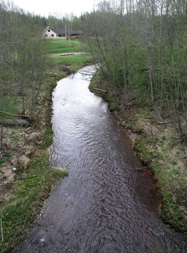 Maakond: Ida-Virumaa Veekogu nimi: Tagajõgi Pildistamise aeg: 7. mai 2009 Pildistaja: H. Timm Pildistamise koht: Tudulinna sillalt Asimuut: