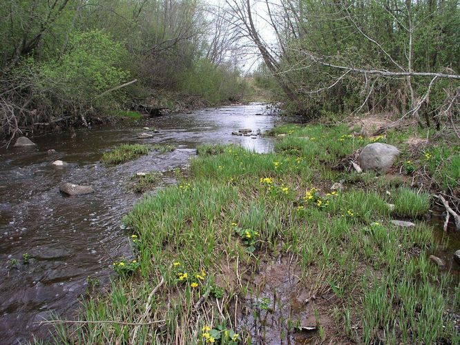 Maakond: Ida-Virumaa Veekogu nimi: Tagajõgi Pildistamise aeg: 7. mai 2009 Pildistaja: H. Timm Pildistamise koht: Tudulinna sillalt Asimuut: