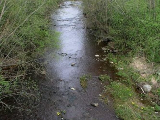 Maakond: Ida-Virumaa Veekogu nimi: Tagajõgi Pildistamise aeg: 7. mai 2009 Pildistaja: H. Timm Pildistamise koht: Tudulinna sillalt Asimuut: