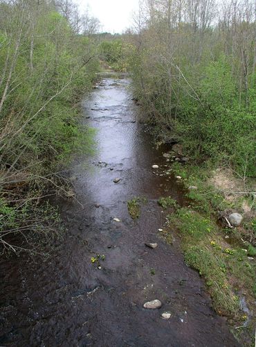 Maakond: Ida-Virumaa Veekogu nimi: Tagajõgi Pildistamise aeg: 7. mai 2009 Pildistaja: H. Timm Pildistamise koht: Tudulinna sillalt Asimuut: