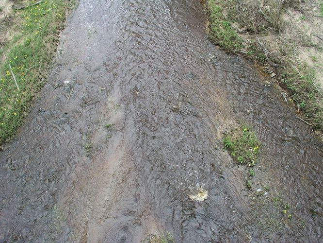 Maakond: Ida-Virumaa Veekogu nimi: Tagajõgi Pildistamise aeg: 7. mai 2009 Pildistaja: H. Timm Pildistamise koht: Tudulinna sillalt Asimuut: