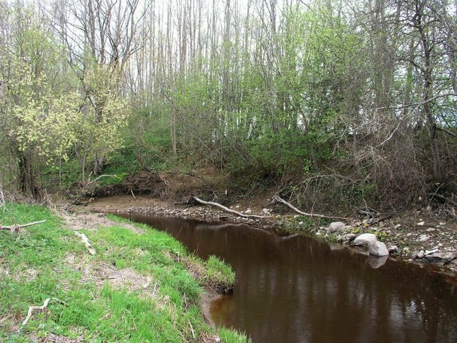 Maakond: Ida-Virumaa Veekogu nimi: Tagajõgi Pildistamise aeg: 7. mai 2009 Pildistaja: H. Timm Pildistamise koht: Ojaküla Asimuut: