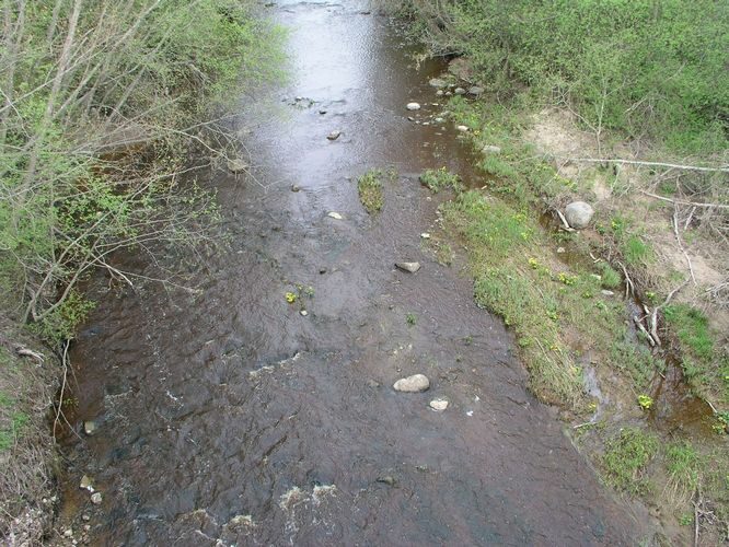 Maakond: Ida-Virumaa Veekogu nimi: Tagajõgi Pildistamise aeg: 7. mai 2009 Pildistaja: H. Timm Pildistamise koht: Tudulinna sillalt Asimuut: