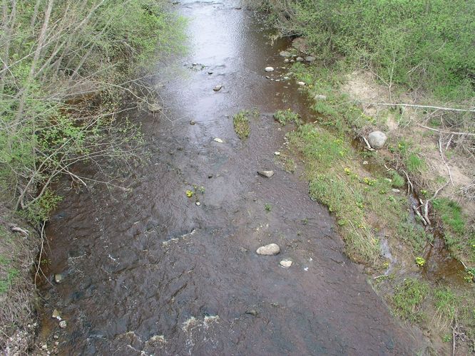 Maakond: Ida-Virumaa Veekogu nimi: Tagajõgi Pildistamise aeg: 7. mai 2009 Pildistaja: H. Timm Pildistamise koht: Tudulinna sillalt Asimuut: