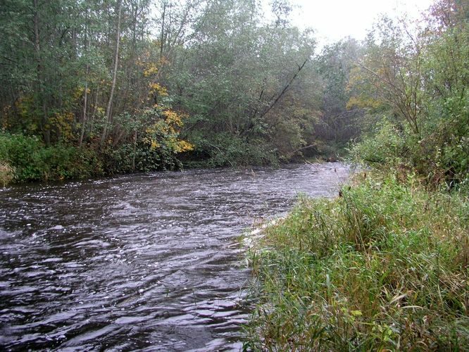 Maakond: Ida-Virumaa Veekogu nimi: Tagajõgi Pildistamise aeg: 7. oktoober 2009 Pildistaja: H. Timm Pildistamise koht: Tudulinna Asimuut: