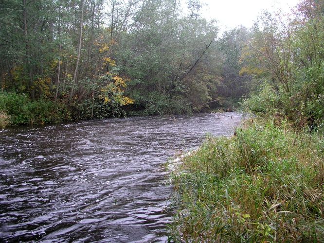 Maakond: Ida-Virumaa Veekogu nimi: Tagajõgi Pildistamise aeg: 7. oktoober 2009 Pildistaja: H. Timm Pildistamise koht: Tudulinna Asimuut: