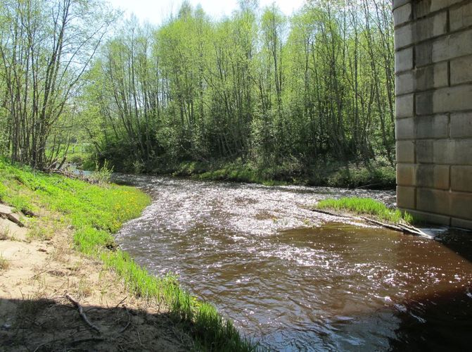 Maakond: Ida-Virumaa Veekogu nimi: Tagajõgi Pildistamise aeg: 15. mai 2010 Pildistaja: H. Timm Pildistamise koht: Tudulinna Asimuut: