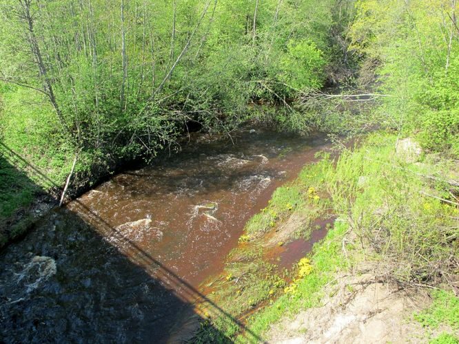 Maakond: Ida-Virumaa Veekogu nimi: Tagajõgi Pildistamise aeg: 15. mai 2010 Pildistaja: H. Timm Pildistamise koht: Tudulinna Asimuut: