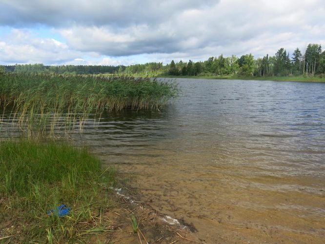 Maakond: Põlvamaa Veekogu nimi: Tilsi Kõrbjärv Pildistamise aeg: 1. august 2013 Pildistaja: H. Timm Pildistamise koht: teadmata Asimuut: