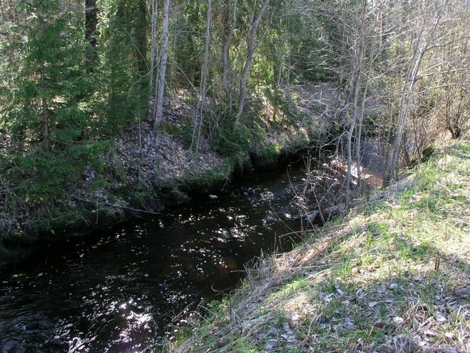 Maakond: Pärnumaa Veekogu nimi: Timmkanal Pildistamise aeg: 26. aprill 2008 Pildistaja: H. Timm Pildistamise koht: teadmata Asimuut: