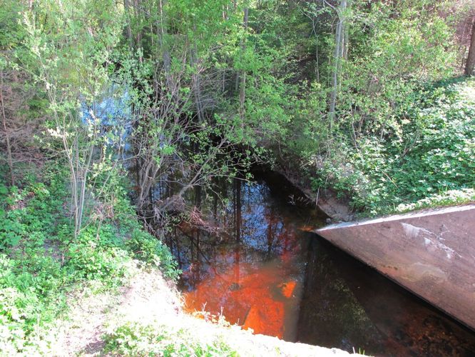 Maakond: Saaremaa Veekogu nimi: Tirtsi jõgi Pildistamise aeg: 21. mai 2011 Pildistaja: H. Timm Pildistamise koht: sild alamjooksul Asimuut: