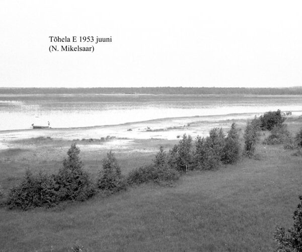 Maakond: Pärnumaa Veekogu nimi: Tõhela järv Pildistamise aeg: juuni 1953 Pildistaja: N. Mikelsaar Pildistamise koht: E-kaldalt Asimuut: NW