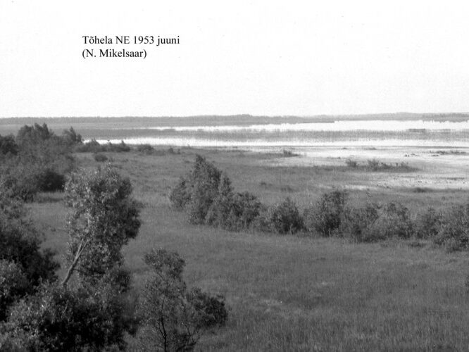 Maakond: Pärnumaa Veekogu nimi: Tõhela järv Pildistamise aeg: juuni 1953 Pildistaja: N. Mikelsaar Pildistamise koht: teadmata Asimuut: