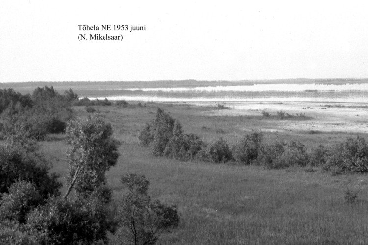 Maakond: Pärnumaa Veekogu nimi: Tõhela järv Pildistamise aeg: juuni 1953 Pildistaja: N. Mikelsaar Pildistamise koht: teadmata Asimuut: