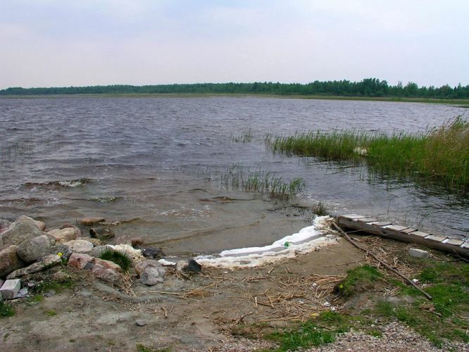 Maakond: Pärnumaa Veekogu nimi: Tõhela järv Pildistamise aeg: 27. mai 2005 Pildistaja: H. Timm Pildistamise koht: teadmata Asimuut: