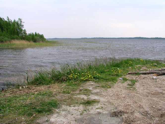 Maakond: Pärnumaa Veekogu nimi: Tõhela järv Pildistamise aeg: 27. mai 2005 Pildistaja: H. Timm Pildistamise koht: teadmata Asimuut: