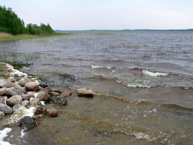 Maakond: Pärnumaa Veekogu nimi: Tõhela järv Pildistamise aeg: 27. mai 2005 Pildistaja: H. Timm Pildistamise koht: teadmata Asimuut: