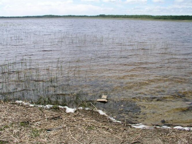 Maakond: Pärnumaa Veekogu nimi: Tõhela järv Pildistamise aeg: 30. mai 2006 Pildistaja: H. Timm Pildistamise koht: teadmata Asimuut: