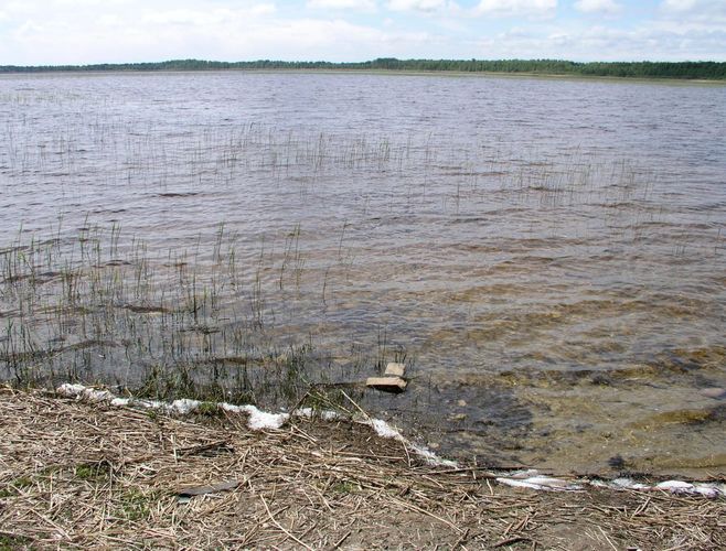 Maakond: Pärnumaa Veekogu nimi: Tõhela järv Pildistamise aeg: 30. mai 2006 Pildistaja: H. Timm Pildistamise koht: teadmata Asimuut: