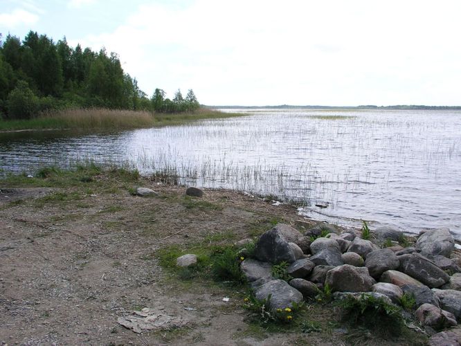 Maakond: Pärnumaa Veekogu nimi: Tõhela järv Pildistamise aeg: 30. mai 2006 Pildistaja: H. Timm Pildistamise koht: teadmata Asimuut: