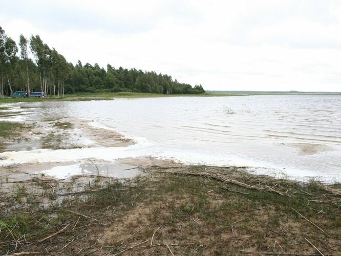 Maakond: Pärnumaa Veekogu nimi: Tõhela järv Pildistamise aeg: 31. juuli 2007 Pildistaja: H. Timm Pildistamise koht: teadmata Asimuut: