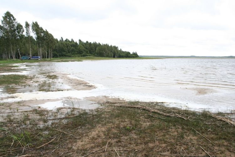 Maakond: Pärnumaa Veekogu nimi: Tõhela järv Pildistamise aeg: 31. juuli 2007 Pildistaja: H. Timm Pildistamise koht: teadmata Asimuut: