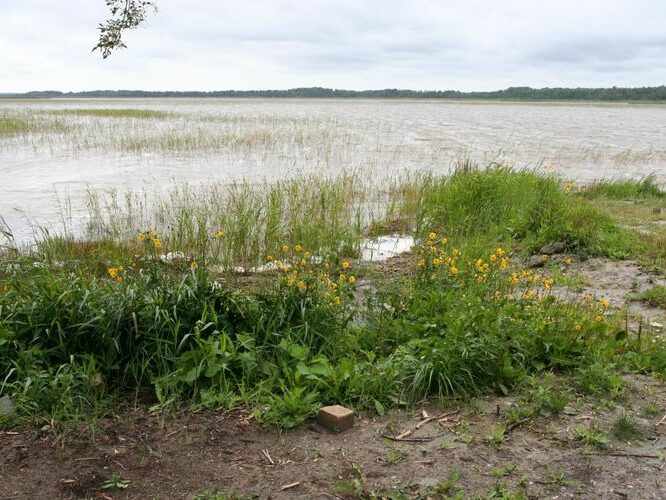 Maakond: Pärnumaa Veekogu nimi: Tõhela järv Pildistamise aeg: 31. juuli 2007 Pildistaja: H. Timm Pildistamise koht: teadmata Asimuut: