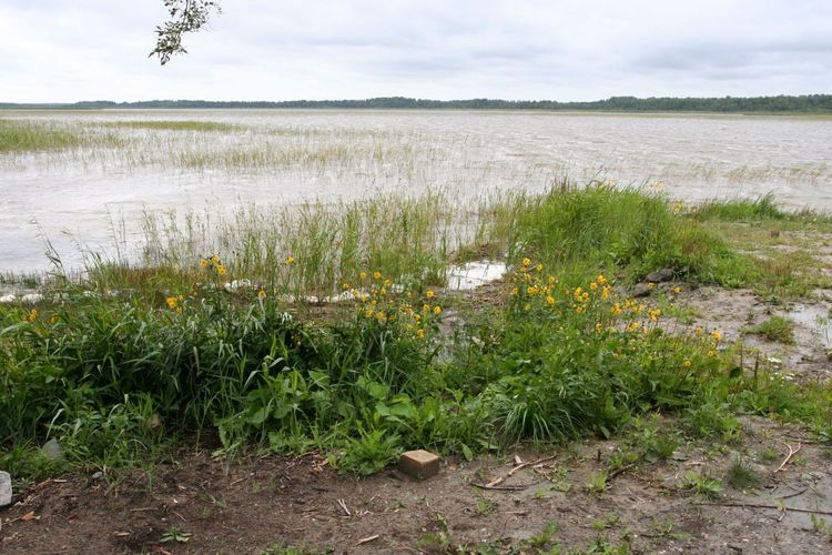 Maakond: Pärnumaa Veekogu nimi: Tõhela järv Pildistamise aeg: 31. juuli 2007 Pildistaja: H. Timm Pildistamise koht: teadmata Asimuut: