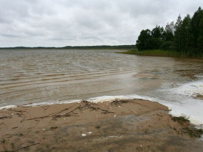 Maakond: Pärnumaa Veekogu nimi: Tõhela järv Pildistamise aeg: 31. juuli 2007 Pildistaja: H. Timm Pildistamise koht: teadmata Asimuut: