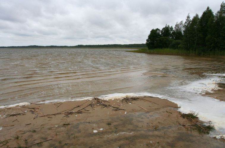 Maakond: Pärnumaa Veekogu nimi: Tõhela järv Pildistamise aeg: 31. juuli 2007 Pildistaja: H. Timm Pildistamise koht: teadmata Asimuut: