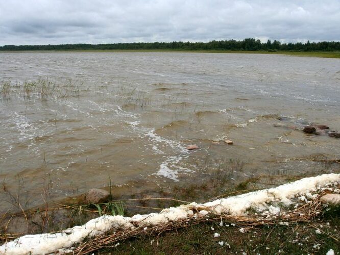 Maakond: Pärnumaa Veekogu nimi: Tõhela järv Pildistamise aeg: 31. juuli 2007 Pildistaja: H. Timm Pildistamise koht: teadmata Asimuut: