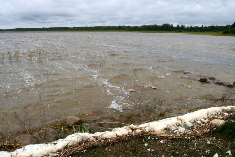 Maakond: Pärnumaa Veekogu nimi: Tõhela järv Pildistamise aeg: 31. juuli 2007 Pildistaja: H. Timm Pildistamise koht: teadmata Asimuut: