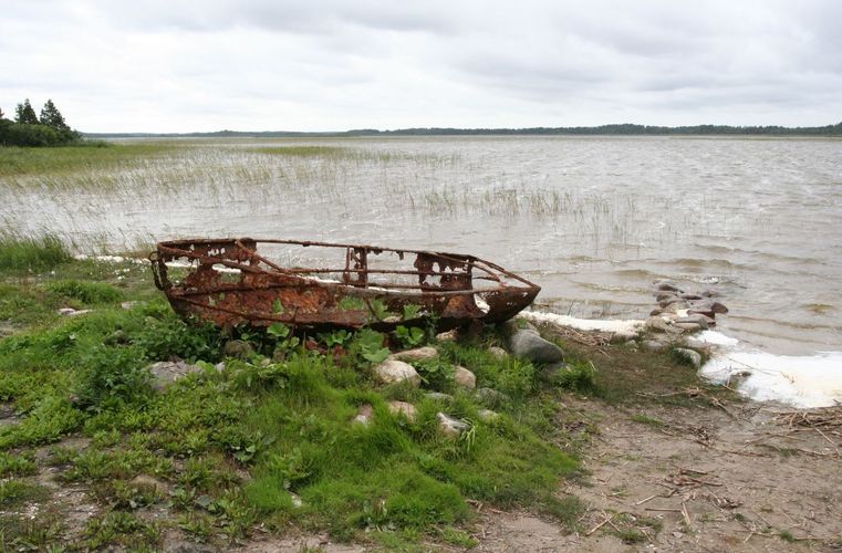 Maakond: Pärnumaa Veekogu nimi: Tõhela järv Pildistamise aeg: 31. juuli 2007 Pildistaja: H. Timm Pildistamise koht: teadmata Asimuut: