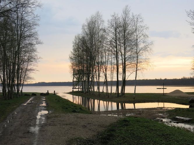 Maakond: Pärnumaa Veekogu nimi: Tõhela järv Pildistamise aeg: 9. mai 2013 Pildistaja: H. Timm Pildistamise koht: teadmata Asimuut: