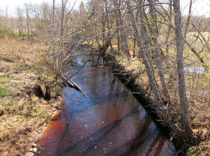 Maakond: Pärnumaa Veekogu nimi: Tõlla oja Pildistamise aeg: 28. aprill 2010 Pildistaja: H. Timm Pildistamise koht: Sarja tee Asimuut: