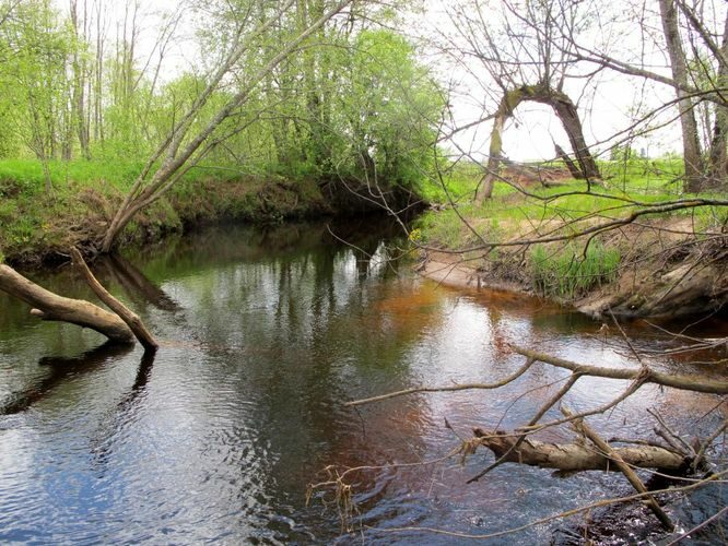 Maakond: Pärnumaa Veekogu nimi: Tõlla oja Pildistamise aeg: 15. mai 2012 Pildistaja: H. Timm Pildistamise koht: alamjooks Asimuut: