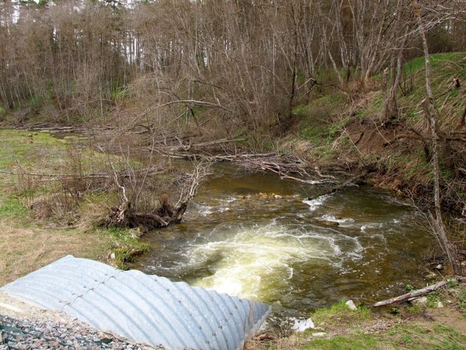 Maakond: Lääne-Virumaa Veekogu nimi: Toolse jõgi Pildistamise aeg: 2. mai 2010 Pildistaja: H. Timm Pildistamise koht: Kaliküla Asimuut: