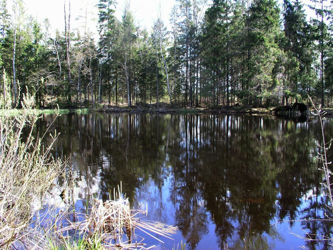 Maakond: Jõgevamaa Veekogu nimi: Tooma Linajärv Pildistamise aeg: 20. mai 2005 Pildistaja: H. Timm Pildistamise koht: teadmata Asimuut: