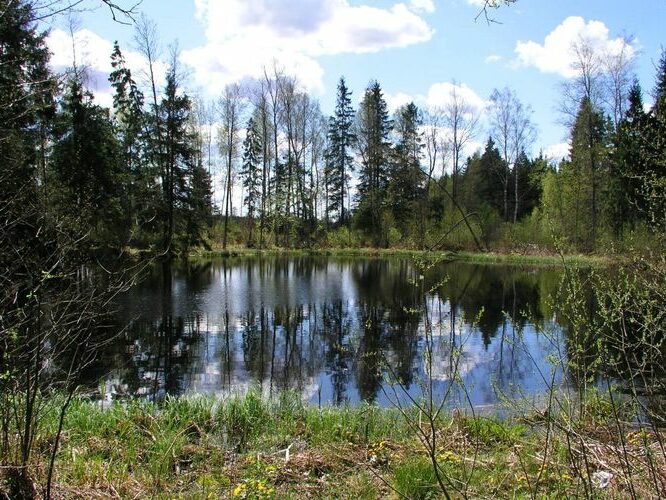 Maakond: Jõgevamaa Veekogu nimi: Tooma Linajärv Pildistamise aeg: 20. mai 2005 Pildistaja: H. Timm Pildistamise koht: teadmata Asimuut: