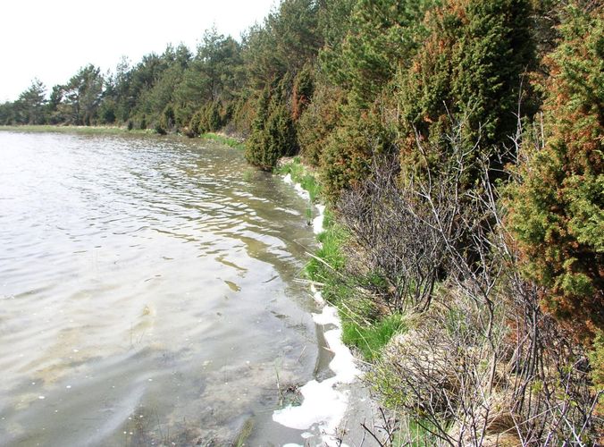 Maakond: Saaremaa Veekogu nimi: Tõrijärv Pildistamise aeg: 26. mai 2005 Pildistaja: H. Timm Pildistamise koht: teadmata Asimuut: