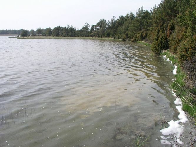 Maakond: Saaremaa Veekogu nimi: Tõrijärv Pildistamise aeg: 26. mai 2005 Pildistaja: H. Timm Pildistamise koht: teadmata Asimuut: