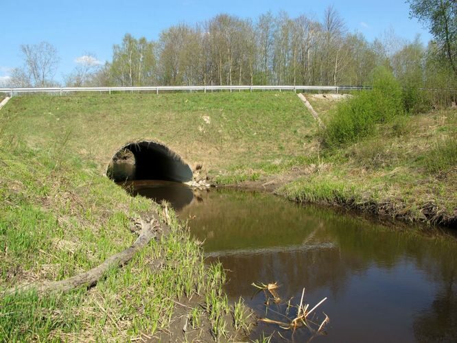 Maakond: Ida-Virumaa Veekogu nimi: Tõrvajõgi Pildistamise aeg: 12. mai 2010 Pildistaja: H. Timm Pildistamise koht: teadmata Asimuut: