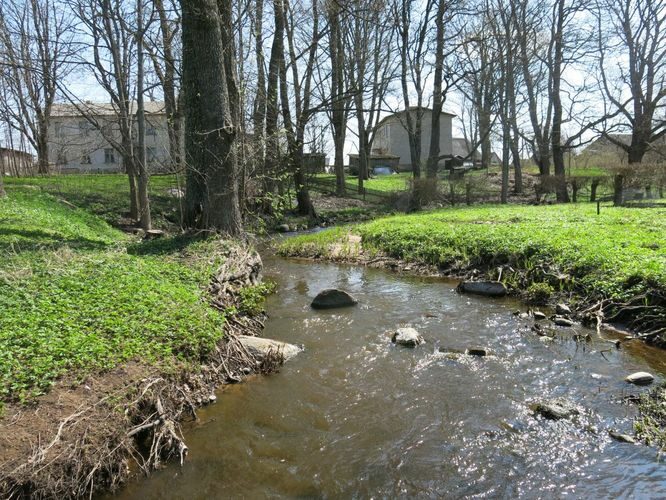 Maakond: Pärnumaa Veekogu nimi: Treimani oja Pildistamise aeg: 9. mai 2013 Pildistaja: H. Timm Pildistamise koht: teadmata Asimuut: