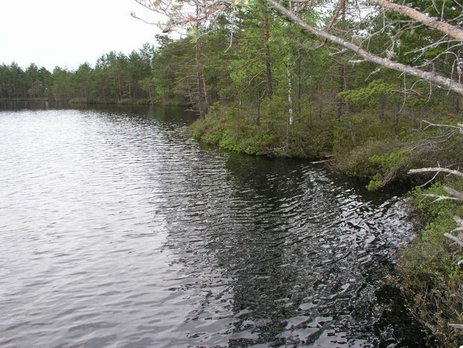 Maakond: Lääne-Virumaa Veekogu nimi: Tudu järv Pildistamise aeg: 31. mai 2003 Pildistaja: H. Timm Pildistamise koht: teadmata Asimuut: